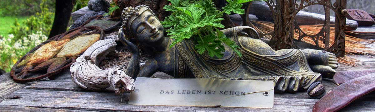 Das-Leben-ist-schoen_wide Das Leben Ist Schoen Wide